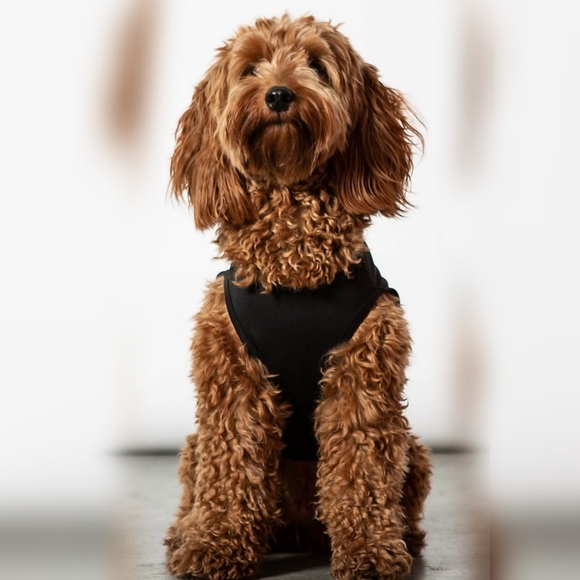 SOLD IN MOONGODDESSEDGY - Picture 2 of 10